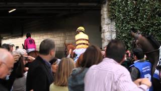 Wise Dan - Shadwell Turf Mile Highlight Video 2014