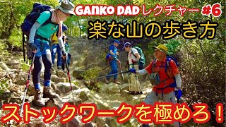 登山の良き相棒「ダブルストック・トレッキングポール」を登山・キャンプ用品専門店営業30年のGankoDadが解説させていただきます　ストックワークを極めて安全快適登山を楽しんでください