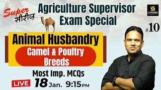 Camel And Poultry Breeds |   | Animal Husbandry #10 | Agriculture Supervisor Exam 2024 | Laxman Sir