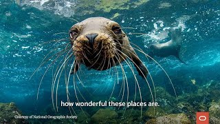 Protecting the ocean's last wild places