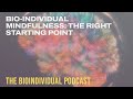 Bio-Individual Mindfulness: The Right Starting Point for Non-Dogmatists Lecture 4