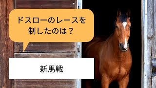 【新馬戦振り返り】ナミュールが勝ち上がったレースを振り返り！