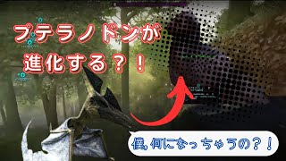 進化しちゃったプテラノドン「ARK: Survival Ascended」05