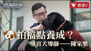 揭秘導盲犬導師的工作日常！點樣同動物成為拍檔？又點樣幫到視障人士？Uncover the daily work of a guide dog tutor! ｜我的香港故事 #香港v