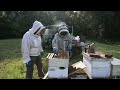 hives for heroes beginner beekeeping a newbee adventure mentoring a beginner beekeeper