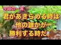 ぶらり　鹿児島市内　ドライブ　騎射場　鹿児島税務署　荒田　武之橋　新屋敷　山之口　高見馬場　平之町