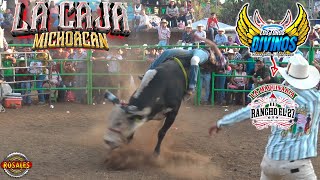 LOS TOROS DIVINOS \u0026 RANCHO EL 27 || Primer Dia de Jaripeo || La Caja Mich 2024