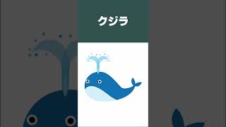 【毎日英単語】さて問題です！『クジラ』を英語で言うと何でしょう。#英単語 ＃shorts #英会話　#大学受験　# TOEIC #英検#英語クジラ