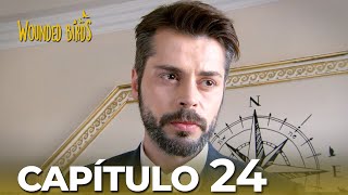 Omer Sueños Robados |  Capítulo 24