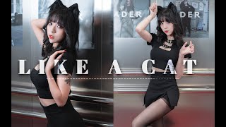 【舞小喵】LIKEACA竖屏版黑喵的诱惑~ 1920P 黑猫竖版 舞小喵