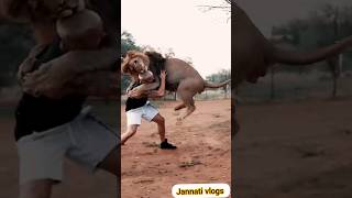 lion play with trainer☄️animals🦋4k 🥢funny video🔻memes#shorts #viral #trending #short #youtubeshorts✨
