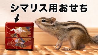 シマリス用おせちをあげてみた結果ｗｗｗ