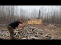 Clearing Land Around The New Off Grid Log Cabin Build Filling The Woodshed