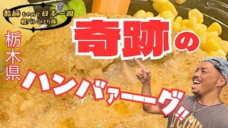 【教師をやめて日本一周】旅編 群馬県　47時間目 『ハンバーグの奇跡！栃木をフル満喫！』