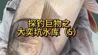 来了 视觉盛宴 人鱼大战进入白热化 野钓巨物 2023dou来钓鱼 浮钓鲢鳙 dou是钓鱼人 原来钓鱼才是抖音运动顶流