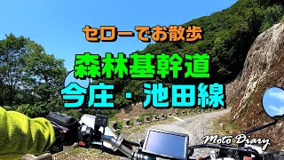 【バイク走行動画】セローでお散歩 「森林基幹道　今庄・池田線」 MotoDiary