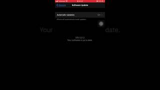 Update IOS 13.1.2