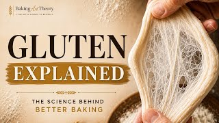 Gluten Explained: The Science Behind Better Baking