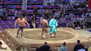 南海力-安芸乃山/2017.7.13(19)/nankairiki-akinoyama/day5 #sumo