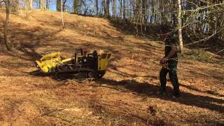 Mähraupe Energreen Robogreen, Robocut Waldfläche mulchen, Landschaftspflege, Waldpflege