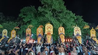 കാവിലക്കാട് പൂരം 2024 ഫുൾ വീഡിയോ#live🎥🔳|kavilakkad pooram full video