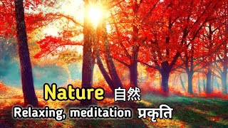 Nature,自然风光,escenas de la naturaleza,प्रकृति के दृश्य