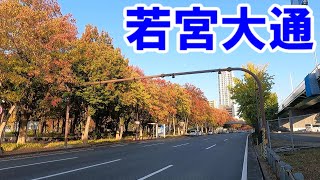 【365日 名古屋旅】名古屋市中区若宮大通。吹上から100ｍ道路を西進。美しき紅葉を愛でながら、与太話をしてごまかすのは、ジエモンの常套手段。2022年11月撮影。No.460