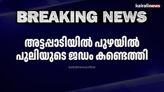 അട്ടപ്പാടിയിൽ പുഴയിൽ പുലിയുടെ ജഡം കണ്ടെത്തി | ATTAPDI TIGER BODY