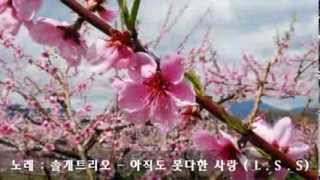 솔개트리오-  아직도 못다한 사랑