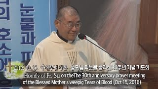 2016년 10월 15일 성모님 피눈물 흘리신 30주년 기도회 강론(Homily of Fr. Su)