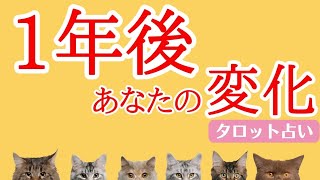 【キャリアチェンジ⁉️】1年先のあなたのライフステージ運・仕事運✴️シンクロニシティを感じるスピリチュアルタロット占い