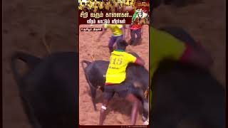 எங்கப்பா இருந்த இவ்வளவு நேரமா..! | சூரியூர் ஜல்லிக்கட்டு | பொங்கல் 2024 | திருச்சி