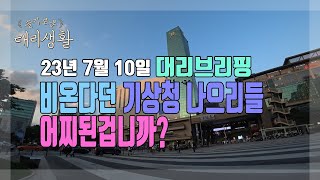 🚗슬기로운 대리생활✅23년7월10일🚩대리브리핑☔비온다던 기상청 나으리들 어찌된겁니까?