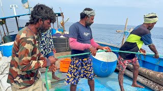 Third Day Cloudburst Day 🌧️ We Caught Lot of Mahi Mahi Fishes in Deep Sea Fishing