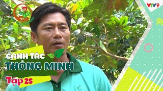 Phòng trị bệnh xì mủ trên cây mít | Canh tác thông minh tập 25 | VTV9