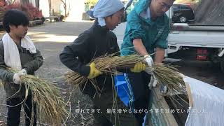 17年度 鶴小 5年 社会 脱穀作業