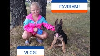 VLOG: Гуляем!