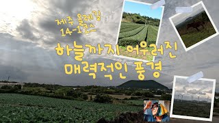 제주 올레길 14-1코스 : 하늘까지 어우러진 매력적인 풍경