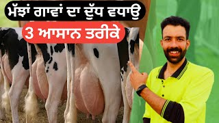 ਮੱਝਾਂ ਗਾਵਾਂ ਦਾ ਦੁੱਧ ਵਧਾਉਣ ਦੇ 3 ਆਸਾਨ ਤਰੀਕੇ| 3 things to increase cow milk |kitta khetibadi|dairy farm