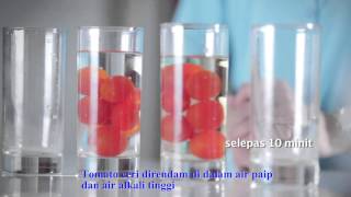 Pengenalan kepada Hexagon AA Water Filtration System