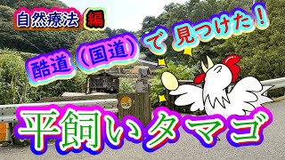 暗峠の酷道(国道)308号で見つけた平飼いたまご・くらがり峠たまご・行く価値アリ・美味い！