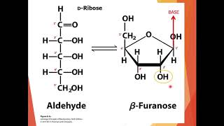 Chapter-8: Nucleotides and Nucleic acids-Part 1