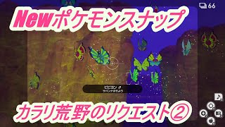 【Newポケモンスナップ】カラリ荒野のリクエスト②