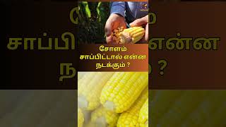 சோளம் சாப்பிட்டால் என்ன நடக்கும் | benefits of corn |@Vaithiyan  | Health | வைத்தியன்