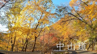 [4K]  碓氷峠中山道紅葉ドライブ（国道18号) Usui Mountain Pass - Autumn Nakasendo (National Road No.18) Gunma, Japan