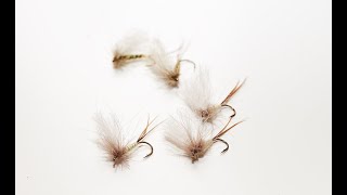 Simple pattern - Danica Mayfly - The best time at year