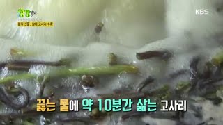 봄의 선물, 남해 고사리 수확 [2TV 생생정보] 20200512