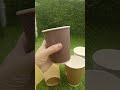 disposable double wall coffee paper cups