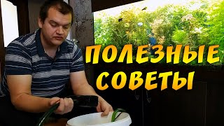 ТОП 7 лайфхаков аквариумиста от Артема!