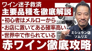 【ワインまずはココから】これだけ覚えて！品種を知ればワインはもっと楽しくなる！【メルロー編】